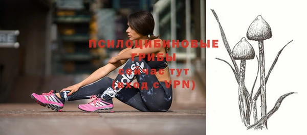 не бодяженный Киренск