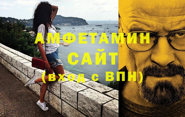 индика Кинешма