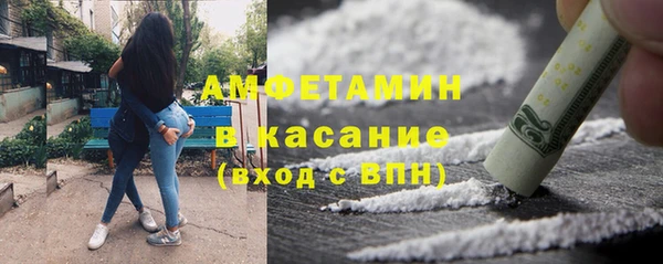 индика Кинешма