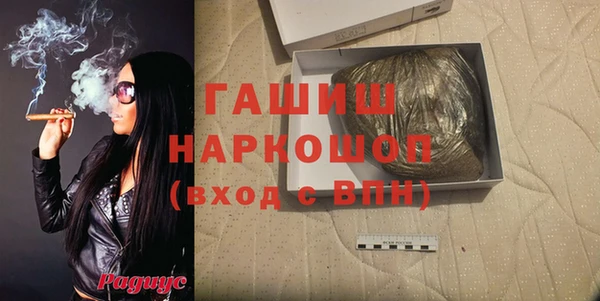 индика Кинешма