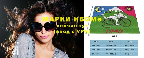 индика Кинешма