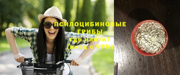 spice Карпинск