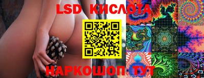 ПСИЛОЦИБИНОВЫЕ ГРИБЫ Гусев