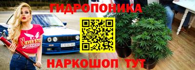 ПСИЛОЦИБИНОВЫЕ ГРИБЫ Гусев