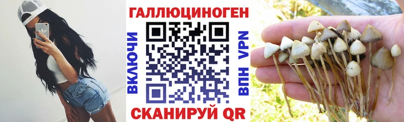 Псилоцибиновые грибы мухоморы  Михайловка 
