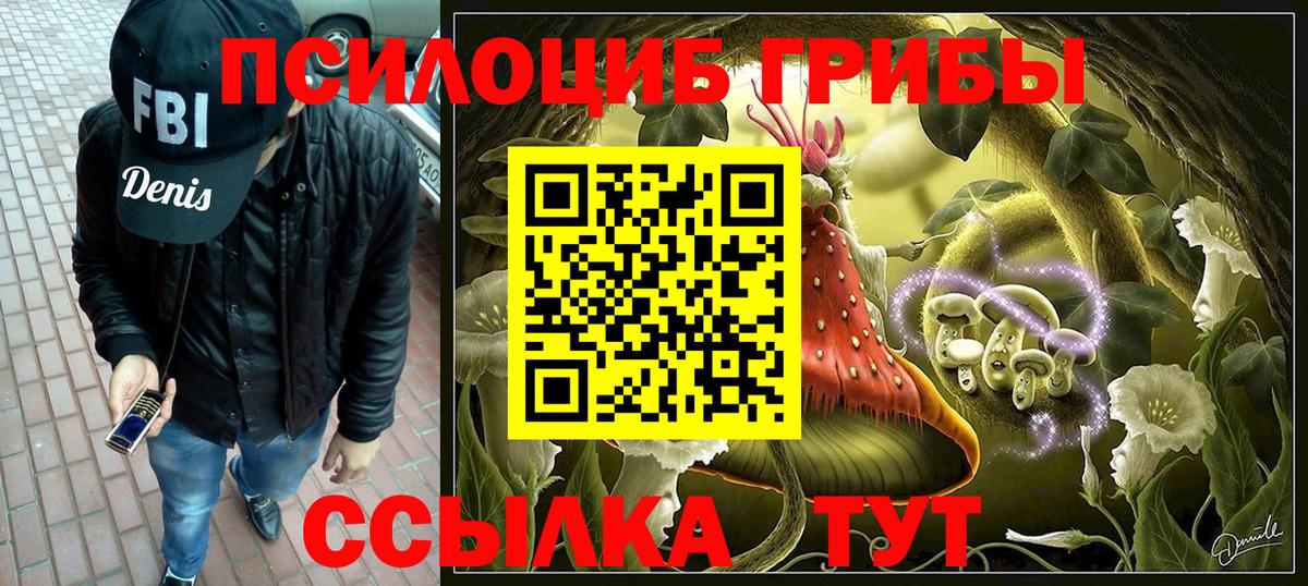 Михайловка  Псилоцибиновые грибы прущие грибы  где можно купить наркотик  Вход с VPN 