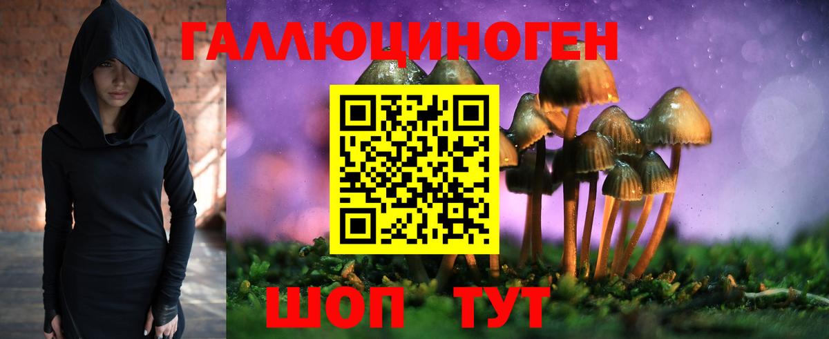 Псилоцибиновые грибы ЛСД  Михайловка 